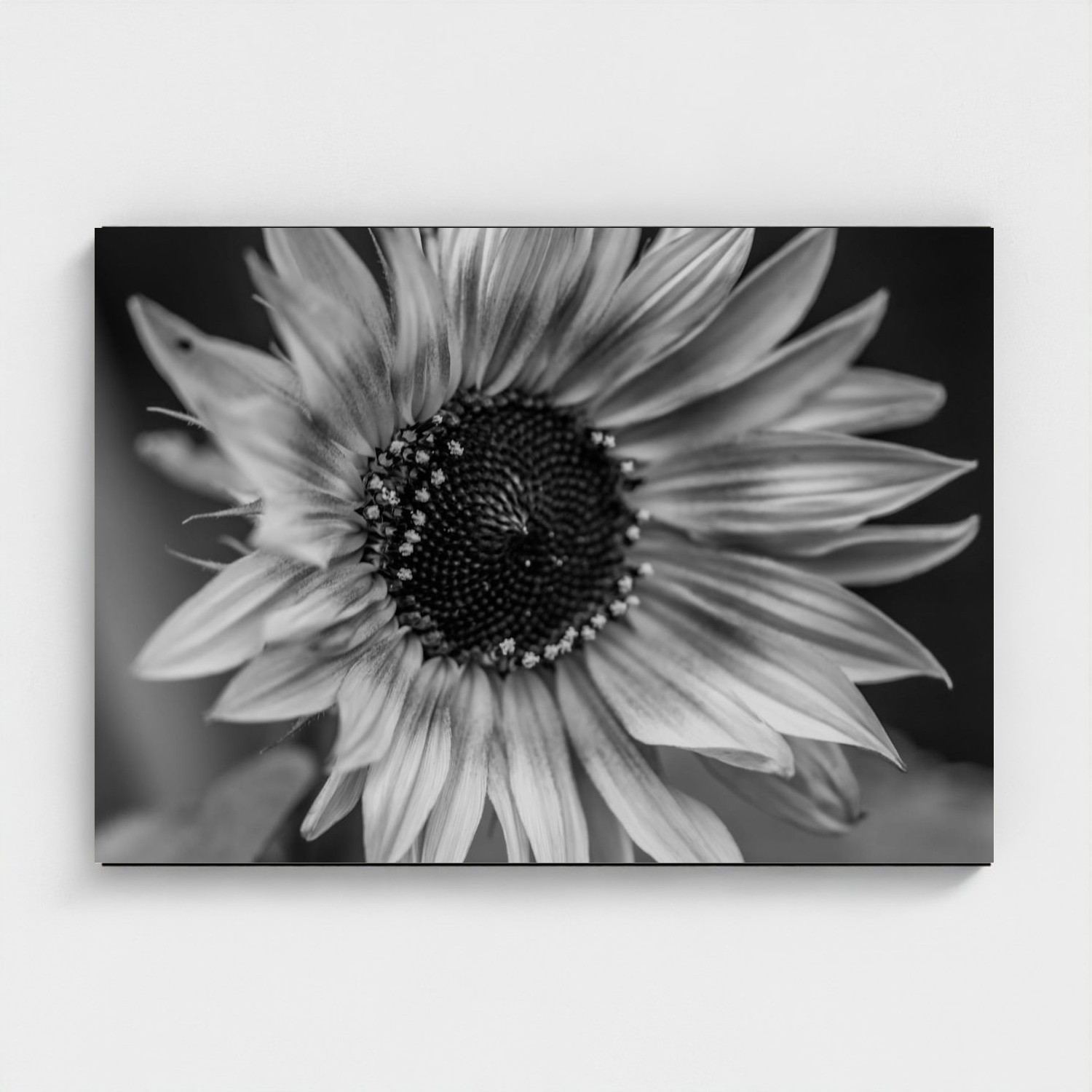 Black frame · box · no mount