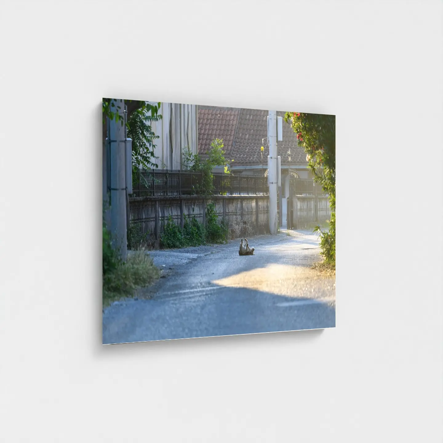 Black frame · box · no mount