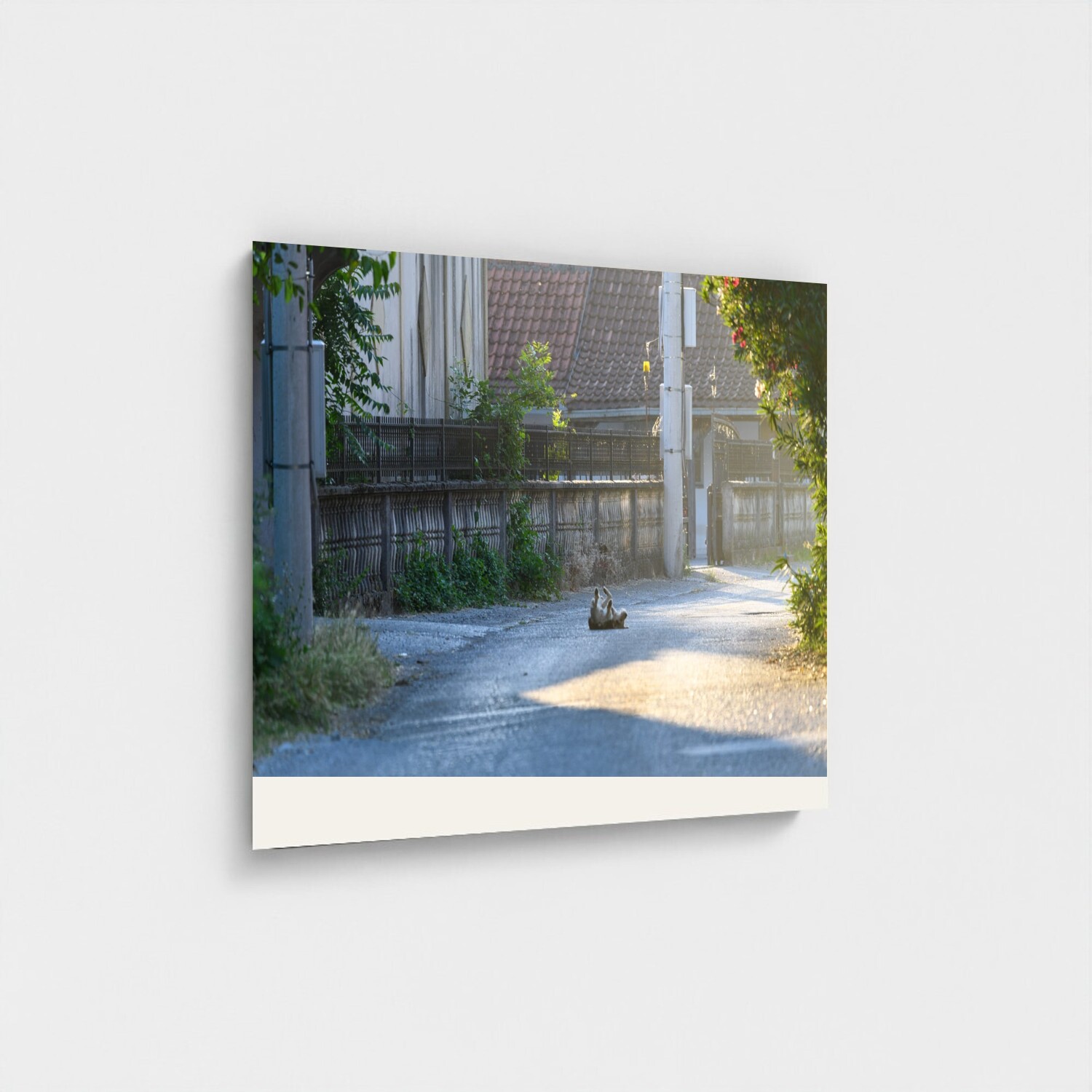 Black frame · box · no mount