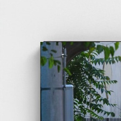 Black frame · box · no mount
