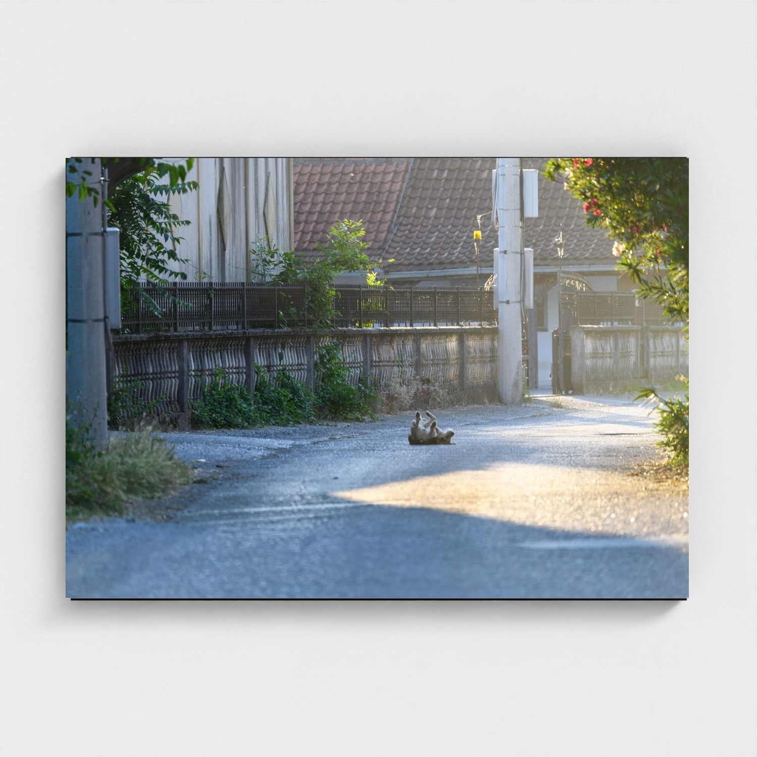 Black frame · box · no mount