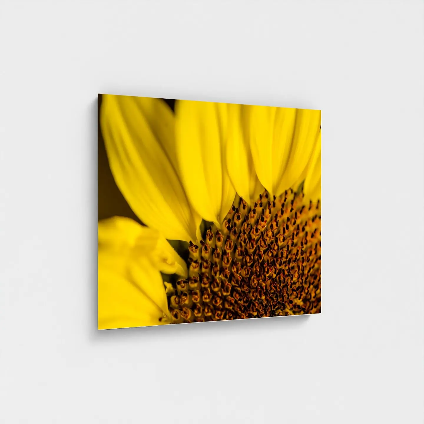 Black frame · box · no mount