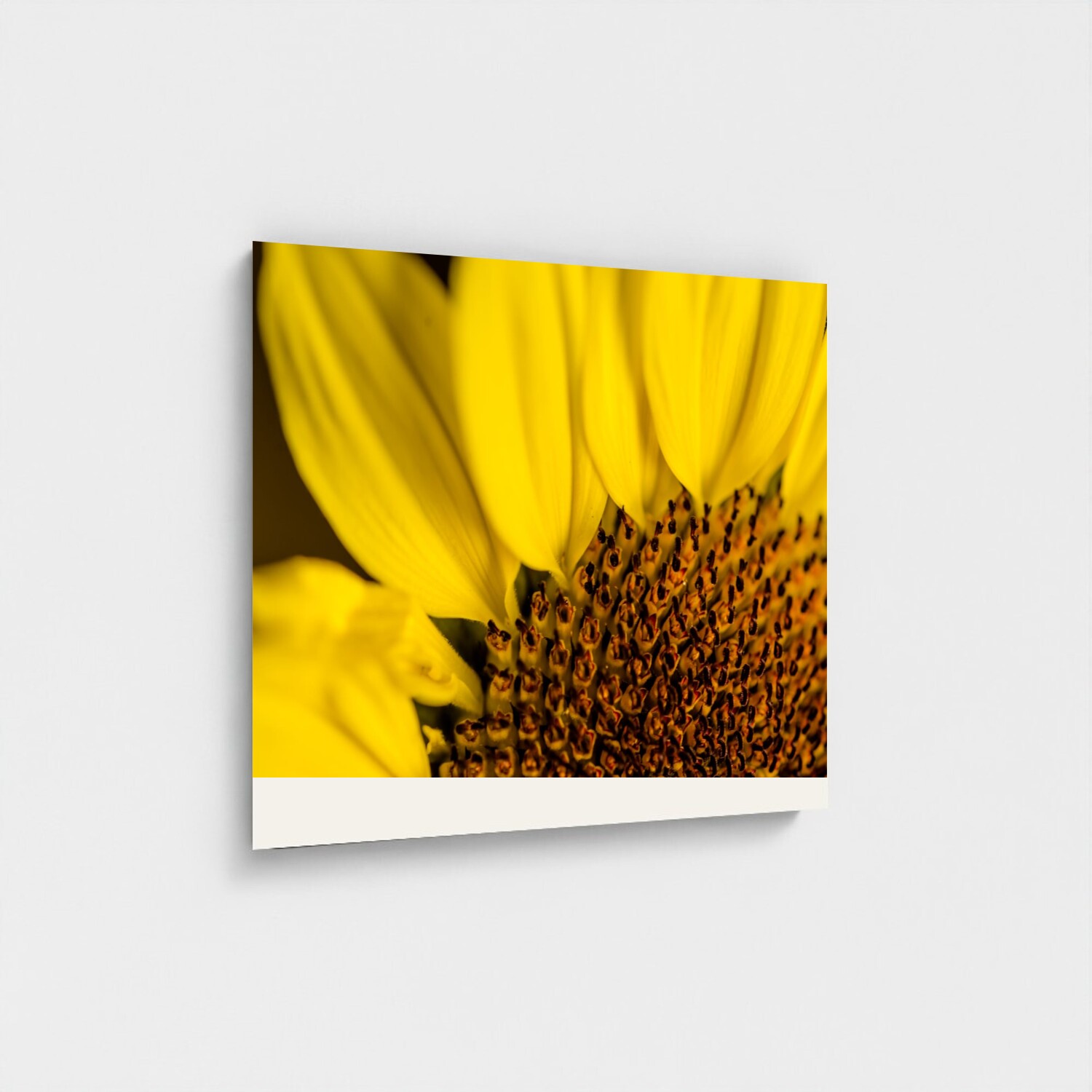 Black frame · box · no mount