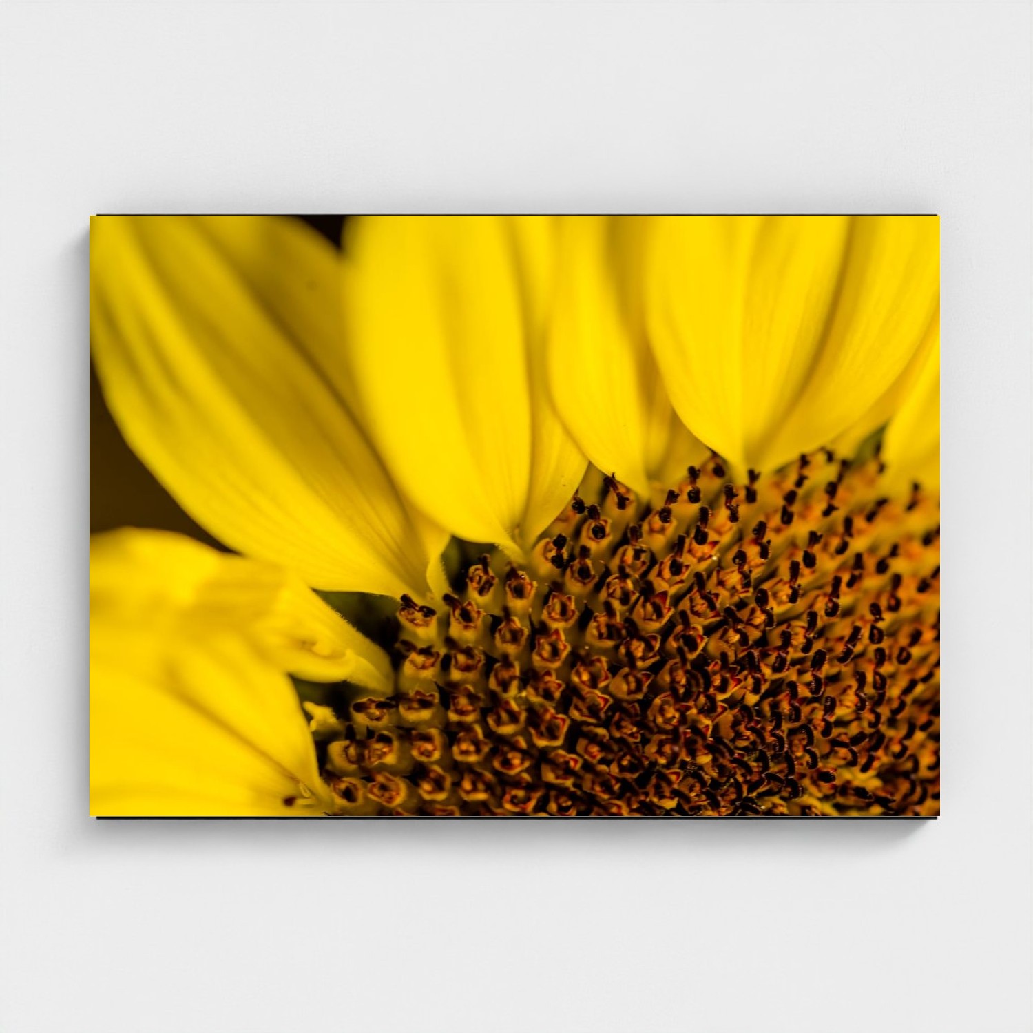 Black frame · box · no mount