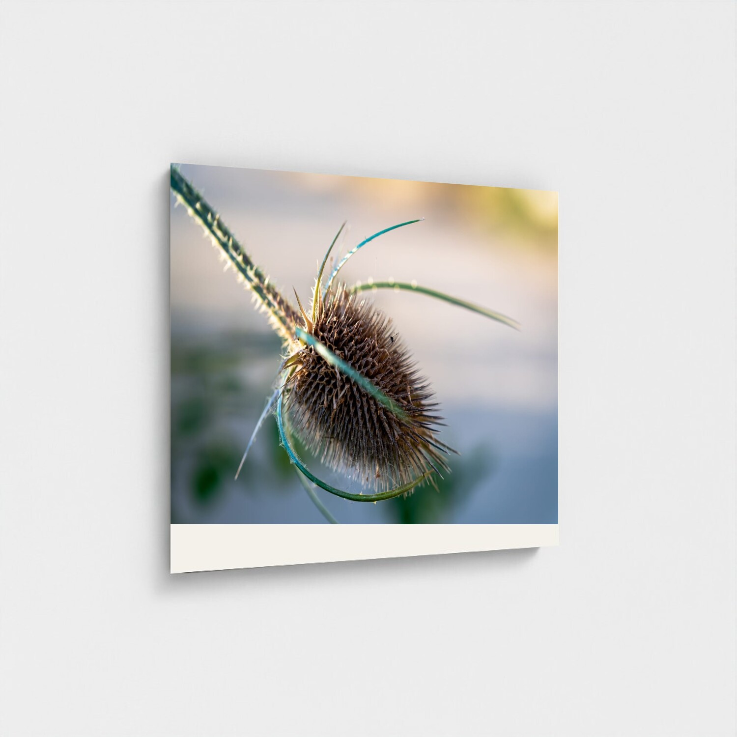 Black frame · box · no mount
