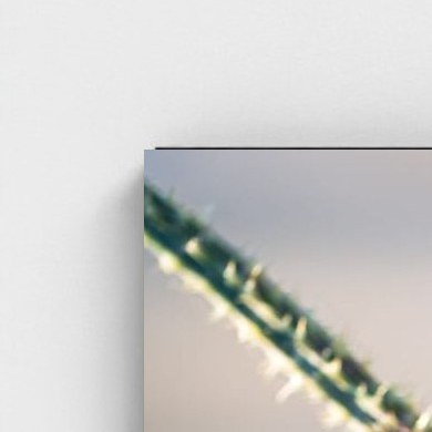 Black frame · box · no mount