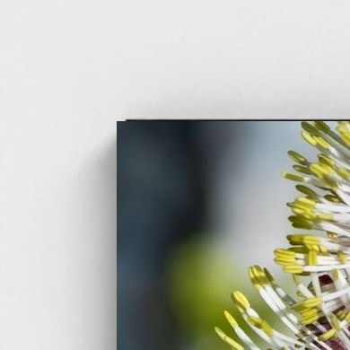 Black frame · box · no mount