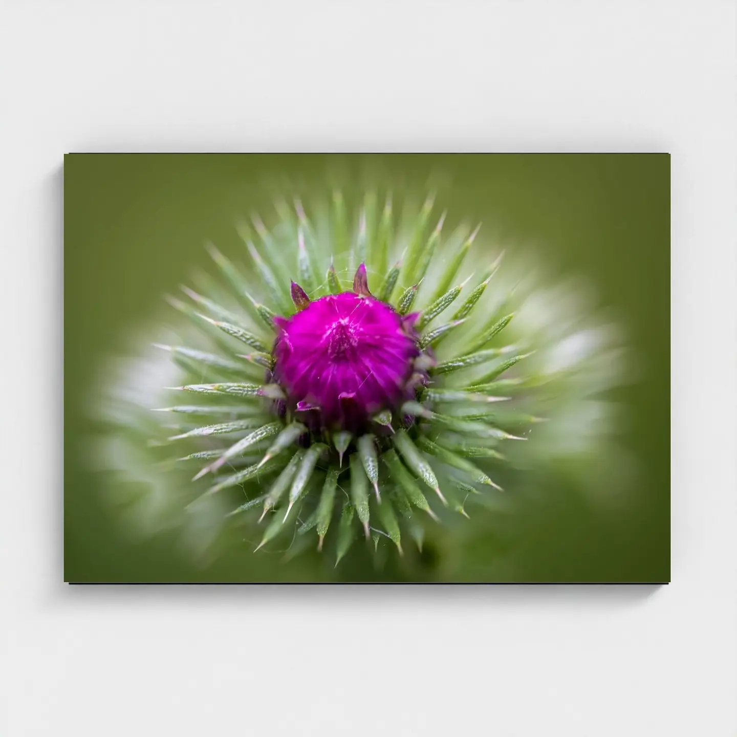 Black frame · box · no mount
