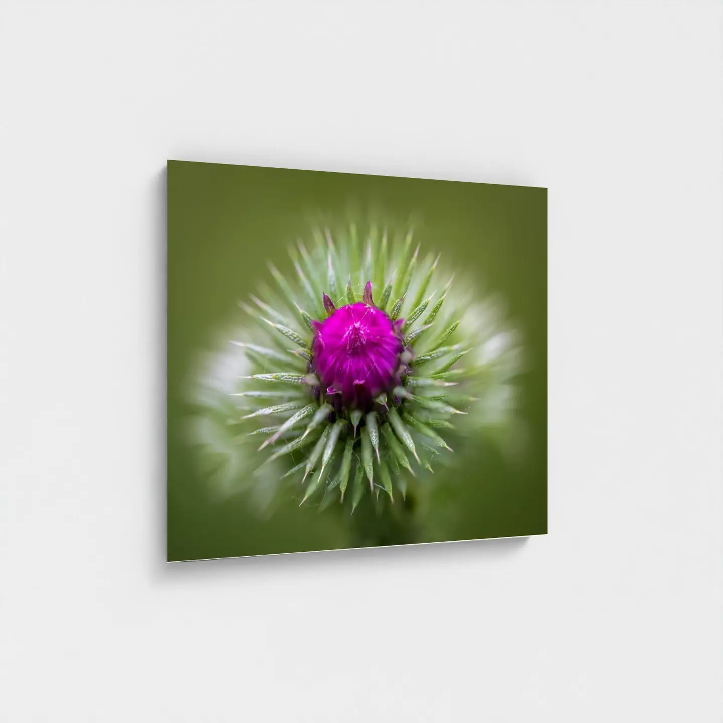 Black frame · box · no mount