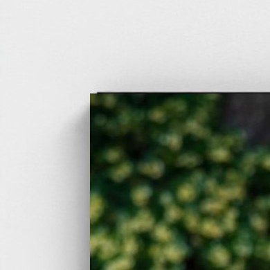 Black frame · box · no mount