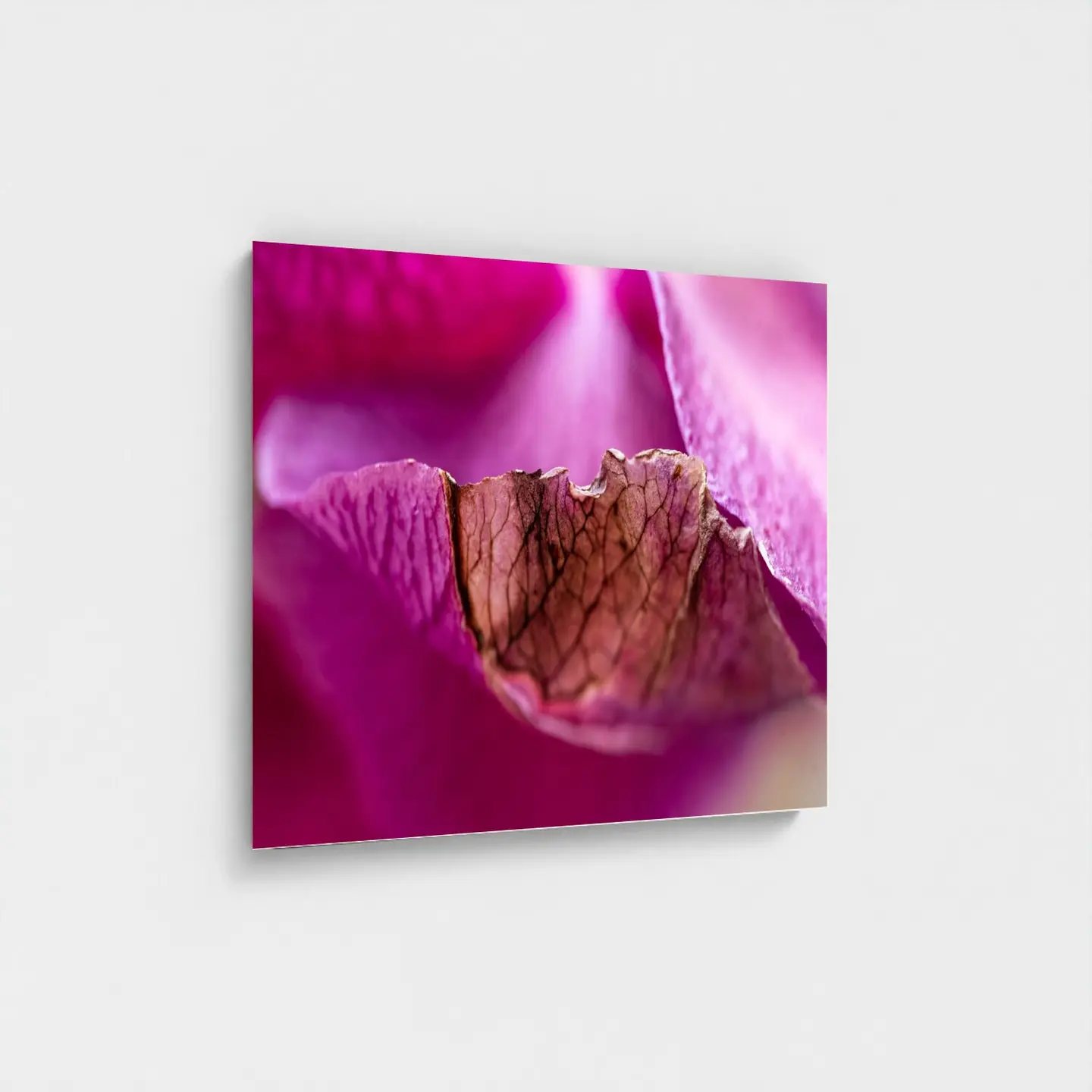 Black frame · box · no mount