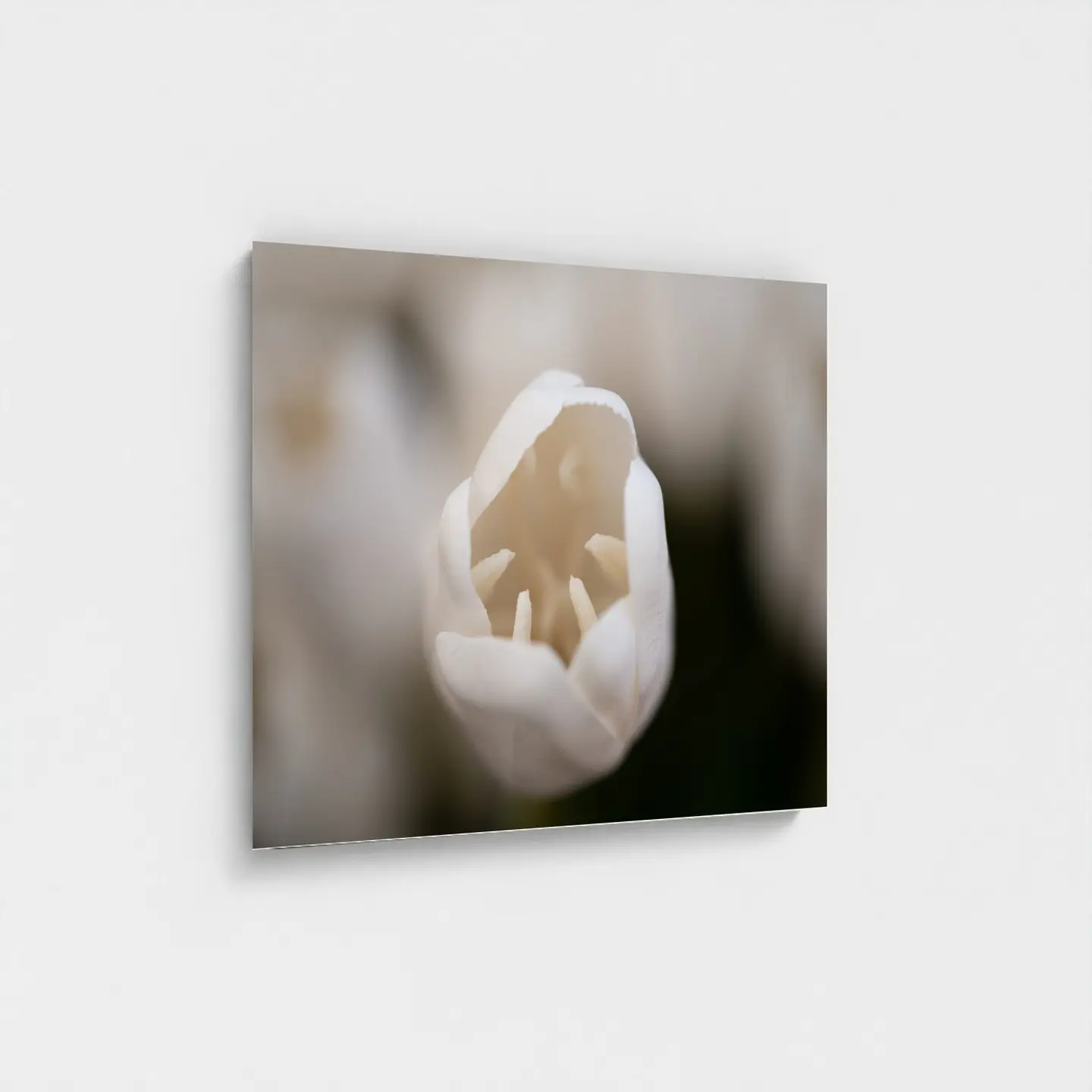 Black frame · box · no mount
