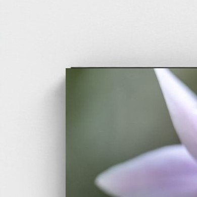 Black frame · box · no mount
