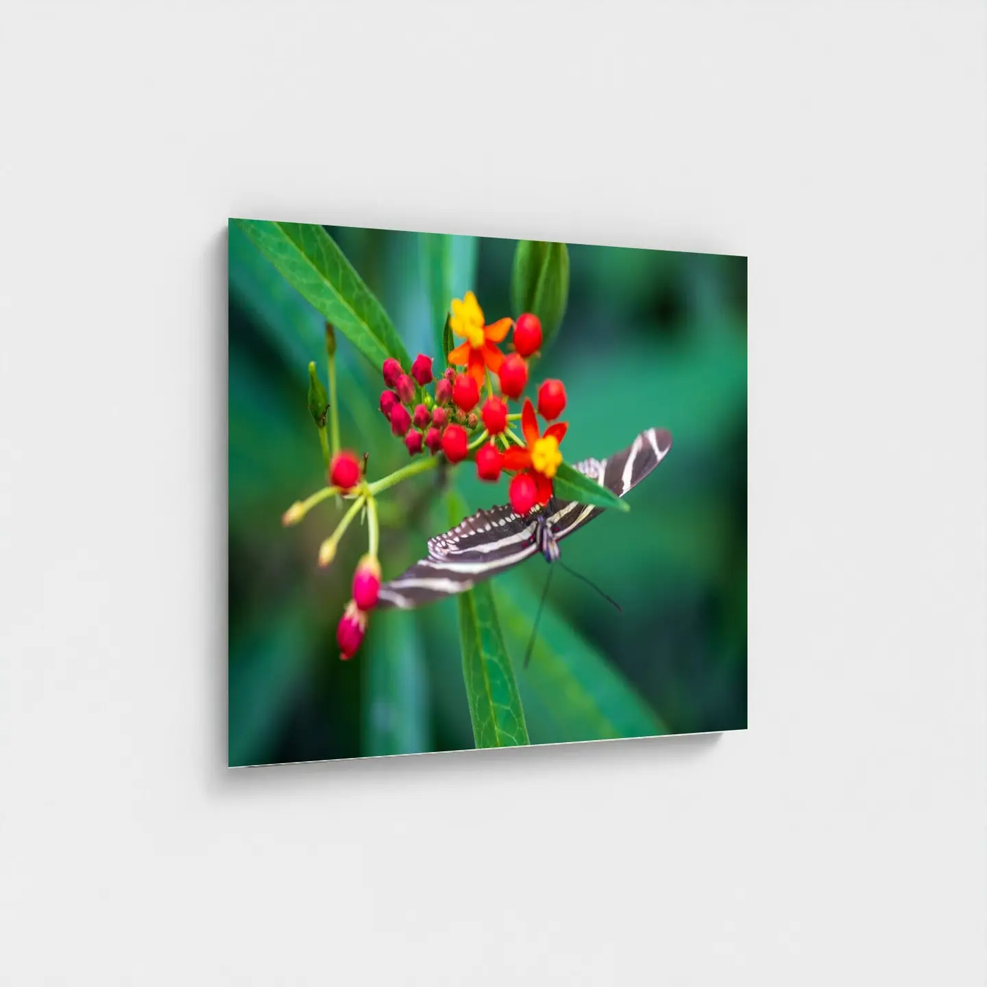 Black frame · box · no mount