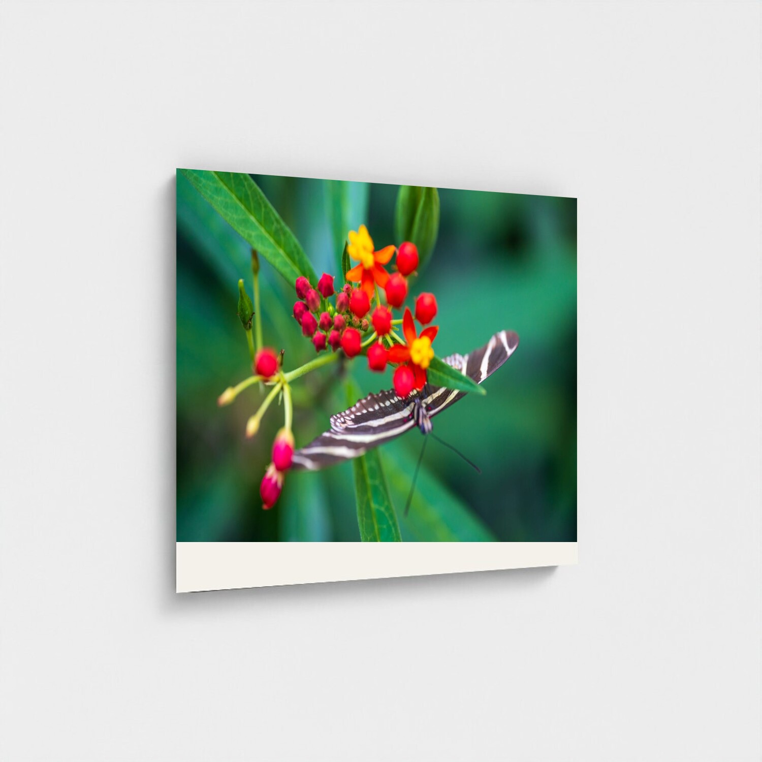Black frame · box · no mount