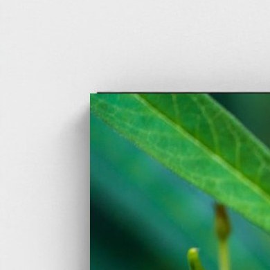 Black frame · box · no mount