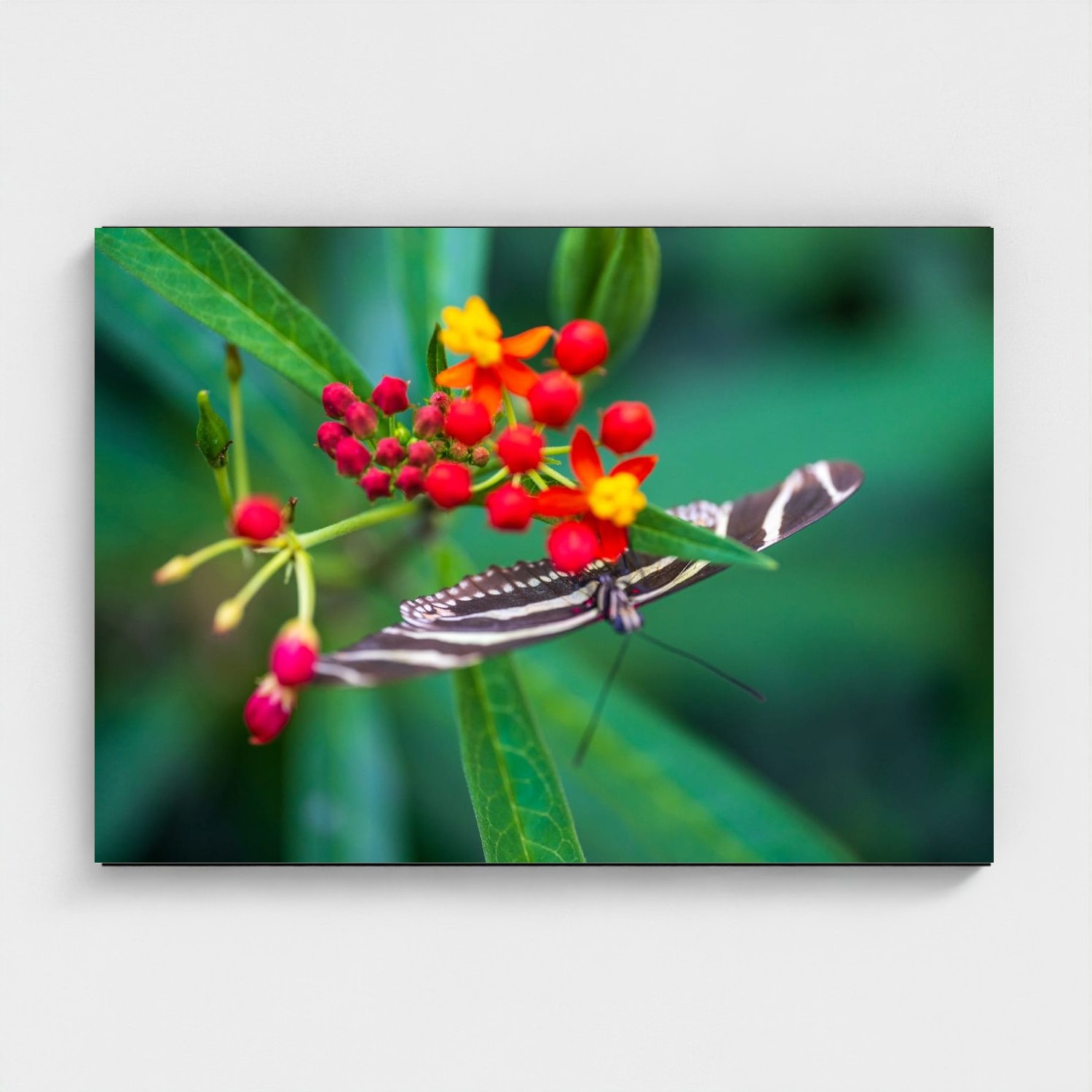 Black frame · box · no mount