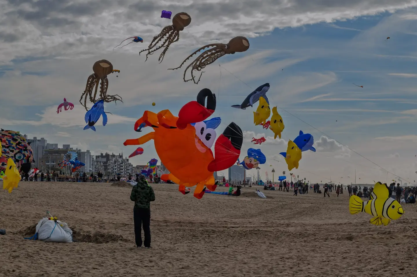 Massive inflatable kites in the shape of an octopus, whale, clownfish, and other sea creatures fill a cloudy sky above a sandy beach as a lone spectator watches the colorful spectacle unfold.